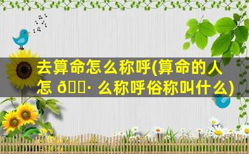 去算命怎么称呼(算命的人怎 🌷 么称呼俗称叫什么)